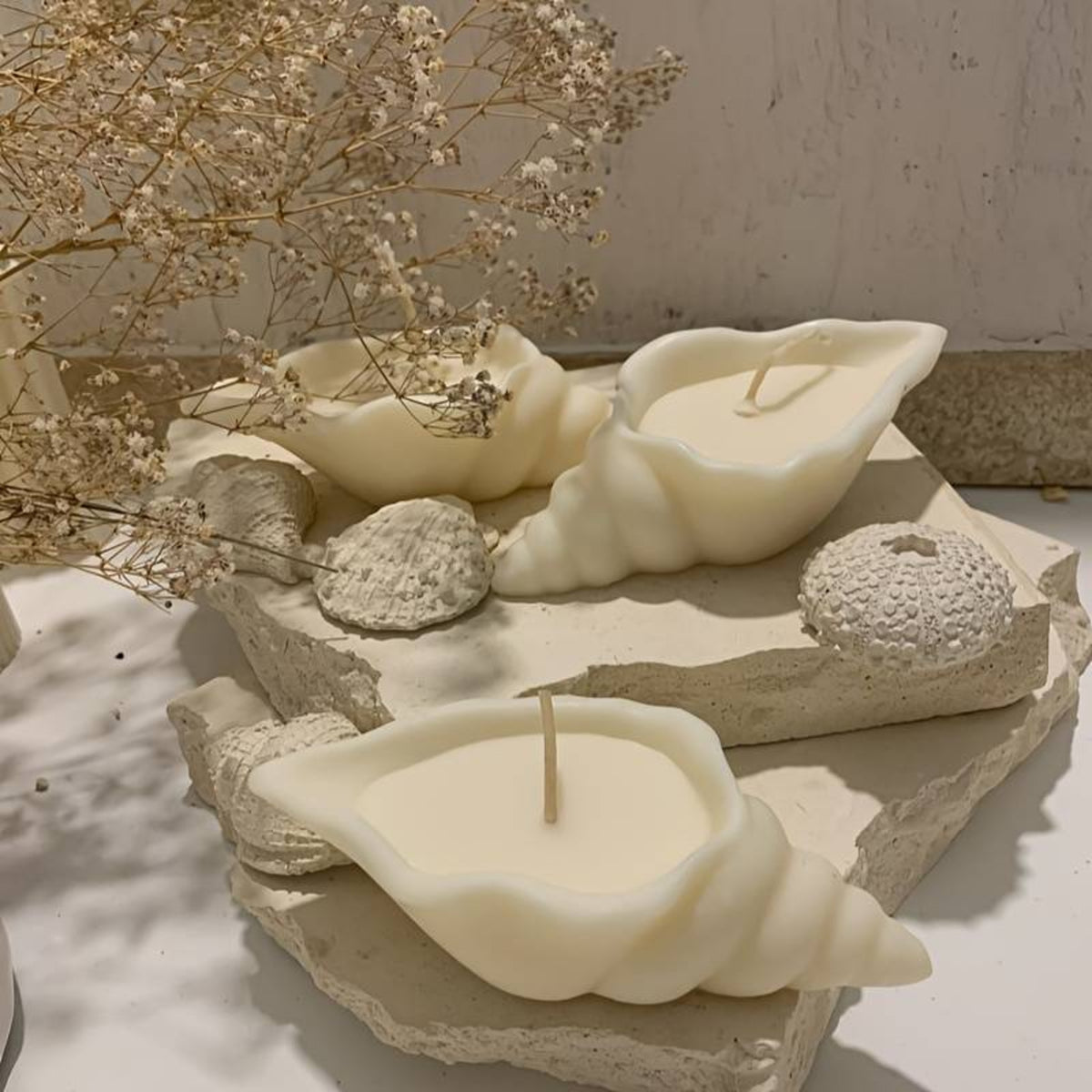 Believe it or not these beautiful candles in a shell shape are now
