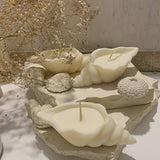 sea shell candle, Conch Shaped Candles, Sea Snails