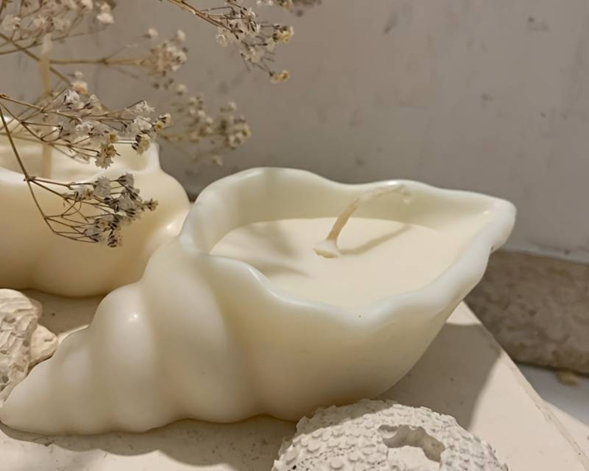 sea shell candle, Conch Shaped Candles, Sea Snails